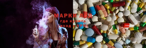 ешки Куртамыш
