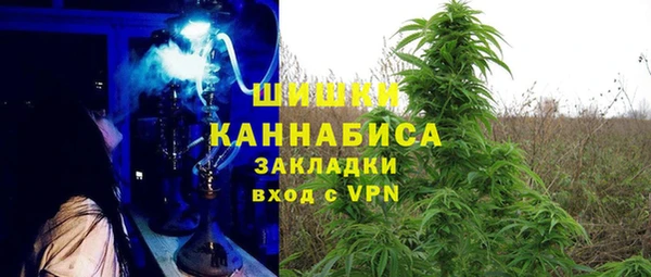 a pvp Дмитриев