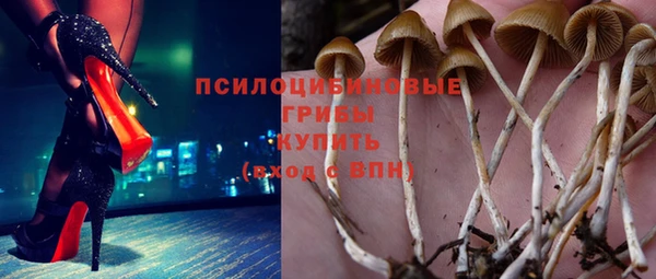 бошки Елабуга