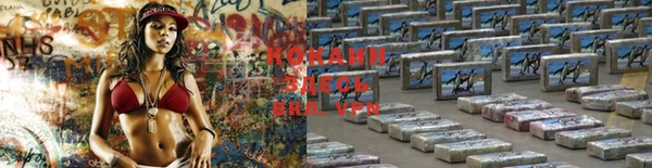 a pvp Дмитриев