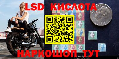 spice Апрелевка