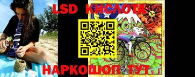шишки Заволжье
