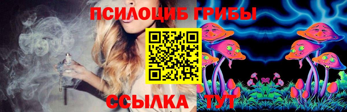 Галлюциногенные грибы Psilocybine cubensis  Рузаевка  Галлюциногенные грибы GOLDEN TEACHER 